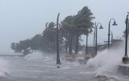 Quảng Ninh được dự báo là tâm điểm siêu bão Mangkhut đổ bộ