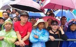 Hải Phòng: Hàng nghìn người phải đội mưa đứng ngoài lễ hội chọi trâu Đồ Sơn