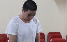 Thấy bé gái đứng một mình, gã đàn ông kéo vào lùm cây cưỡng bức