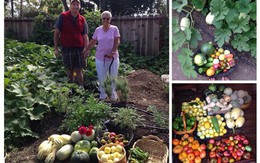Khu vườn rợp cây trái giúp người phụ nữ từng nặng 180 kg vượt qua bệnh tật
