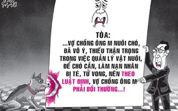 Chó cắn làm chết người, chủ phải đền hơn 170 triệu