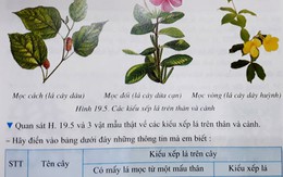 Phần lớn sách giáo khoa yêu cầu học sinh làm bài tập vào sách