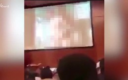 Giáo sư vô tình chiếu phim khiêu dâm trước 500 sinh viên