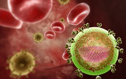 10 hiểu lầm tai hại khiến người nhiễm HIV sống dở chết dở