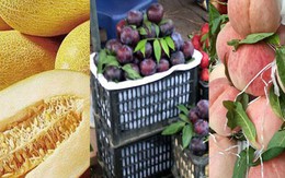 Những loại quả khổng lồ xuất xứ Trung Quốc bán ngập chợ Việt
