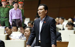 Các Đại biểu Quốc hội tranh luận về vụ xét xử bác sĩ Hoàng Công Lương