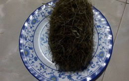 Mổ heo nái, tìm được vật lạ tiền tỷ