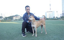 Trang trại nuôi chó Phú Quốc bạc tỷ ở Hà Nội