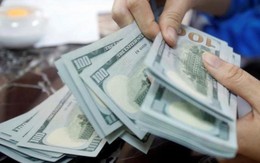 Mẹ yêu cầu con trai trả lại gần 2 triệu USD tiền nuôi dưỡng