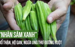 Loại quả phổ biến ở VN được gọi là "nhân sâm xanh" bổ thận hàng đầu, tốt cho gan, dạ dày