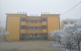 Cậu bé "tóc đóng băng" được quyên góp hơn 1 tỷ đồng nhưng chỉ nhận 28 triệu, lý do thực sự sẽ khiến bạn thấy ấm lòng