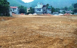 Hà Nội: Chủ tịch UBND huyện Thạch Thất chỉ đạo xử lý nghiêm vụ nhà quan xã san lấp trái phép hàng trăm m2 đất ruộng