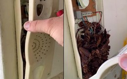 Nghe âm thanh lạ phát ra từ trong chiếc điện thoại, chàng trai khiếp vía khi mở ra