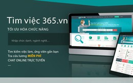 Có gì ở kênh tìm việc trực tuyến Timviec365.vn?