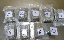 3kg ma túy 'lẩn' trong quần áo, thực phẩm... tuồn từ Mỹ về Việt Nam