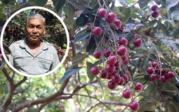 Lão nông từ chối Trung Quốc: Đặc sản độc đáo phải để dân Việt ăn Tết