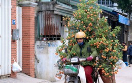 Bao tải đất bí ẩn, độc chiêu kiếm 1 triệu/ngày của bác xe ôm Nhật Tân