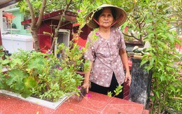 Cụ bà 50 năm sống ở nghĩa trang Sài Gòn, chứng kiến nhiều cảnh lạ