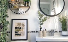 Phòng tắm đơn điệu màu trắng đẹp lung linh trong phút chốc khi decor với cây xanh