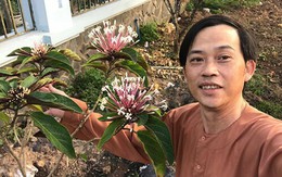 Hoài Linh sợ hình ảnh bị nhàm chán