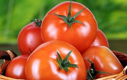 Bỏ cà chua vào tủ lạnh để dùng được lâu hơn: Sai lầm hầu hết bà nội trợ nào cũng mắc