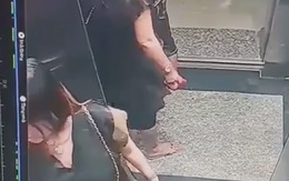 Bị camera ghi lại cảnh tiểu bậy trong thang máy gây bức xúc, người đàn ông đã đến chung cư để xin lỗi và nhờ gỡ clip