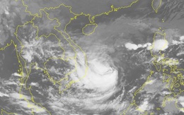Gió sẽ giật rất mạnh khi bão số 6 đổ bộ vào Quảng Ngãi - Khánh Hòa