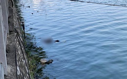 Hà Nội: Kinh hoàng phát hiện thi thể người phụ nữ nổi trên hồ Tây
