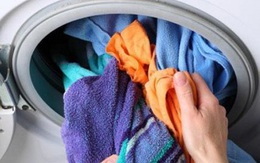 Nếu biết hậu quả khủng khiếp khi để quần áo qua đêm trong máy giặt thì sẽ không ai còn dám lười nữa