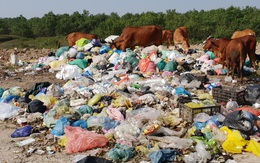 Kinh hoàng những bãi rác "khổng lồ" nằm ngay trên đê chống lũ
