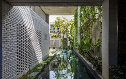 "Rừng cây nhiệt đới" trong lòng ngôi nhà ở Đà Nẵng