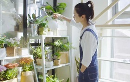 Chỉ vài thao tác, cô gái trẻ đã có thể tự tạo một vườn rau gia vị xanh tốt trong bếp