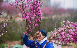 Tháng 2 năm 2020 có bao nhiêu ngày?