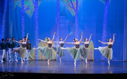 Cơ hội thưởng thức vở ballet hồ thiên nga giữa hồ thiên nga Ecopark