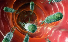 6 hành động khiến vi khuẩn HP gây ung thư sợ hãi, tránh xa