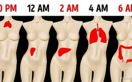 Đêm nào cũng tỉnh giấc vào đúng “khung giờ” này thì coi chừng gan, phổi, ruột của bạn đã mắc trọng bệnh, càng để lâu càng khó chữa