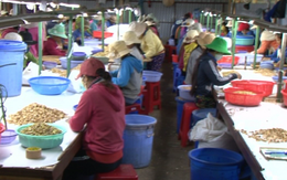 Ninh Thuận: Những hướng đi đúng đắn trong công tác giải quyết việc làm cho người lao động
