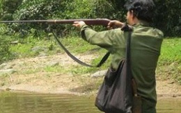 Nghệ An: Người đàn ông bị bắn tử vong khi hái rau trong rừng