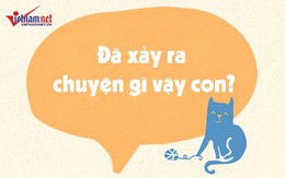 Khi con phạm lỗi, thay vì đánh mắng hãy hỏi 8 câu này