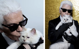 Mèo cưng của Karl Lagerfeld trở thành mèo giàu nhất thế giới với tài sản 3,4 triệu đô