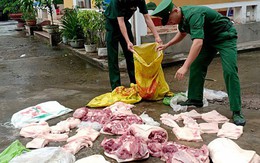 Quảng Ninh chủ động phòng chống dịch tả lợn châu Phi
