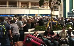 Sân bay náo loạn vì nhân viên nhảy lầu tự tử