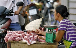 Dịch tả lợn châu Phi diễn biến phức tạp: Nghịch lý giá thịt tăng nhẹ