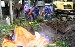 Hải Dương: Thêm 3 xã của huyện Ninh Giang tiếp tục xuất hiện bệnh dịch tả lợn châu Phi