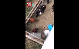 Cháu trai 9 tuổi để lại bức thư với dòng chữ: "Bà ơi, cháu làm vỡ kính ở trường rồi" và gia đình đau đớn nhận lấy bi kịch