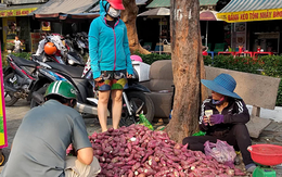 Khoai lang Nhật giá rẻ bán đầy vỉa hè