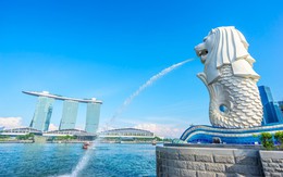 Vì sao Singapore lại được gọi là 'đảo quốc sư tử' dù không có sư tử