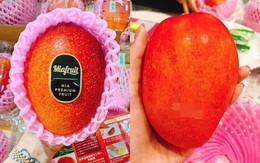 Xoài ruby Nhật giá 1,3 triệu/quả, nhà giàu Việt “đấu giá” ăn chơi