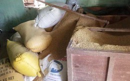Mất 49 cây vàng ở Quảng Nam: Công an mời nhiều 'đối tượng' làm việc