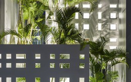 Nhờ thiết kế 300 ô cửa sổ, ngôi nhà hướng Tây ở Nha Trang luôn ngập tràn ánh sáng và gió mát